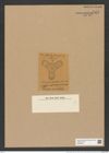 Triceratium papillatum Grave et Sturt. (de-Toni-Nr.: Genus 140, Species 3959) Zeichnungen Sammlung Grunow Nr. 7437 (NHMW-BOT-W0376521)